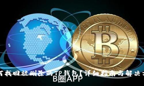 如何找回被删除的TP钱包？详细指南与解决方案