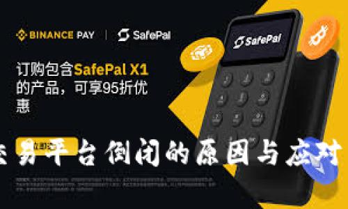 区块链交易平台倒闭的原因与应对策略分析
