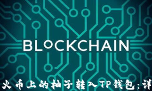 
如何将火币上的柚子转入TP钱包：详细指南