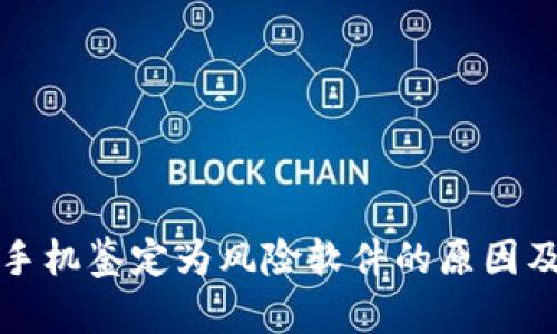 TP钱包被手机鉴定为风险软件的原因及解决方案