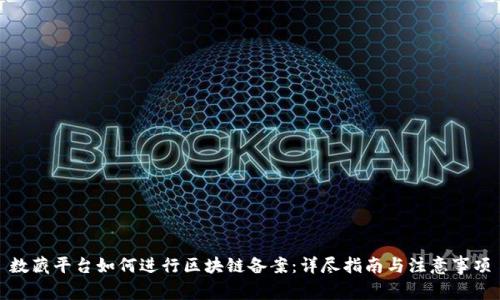 数藏平台如何进行区块链备案：详尽指南与注意事项
