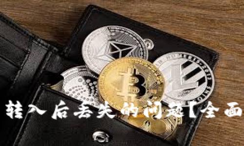 如何解决TP钱包转入后丢失的问题？全面解析与解决方案