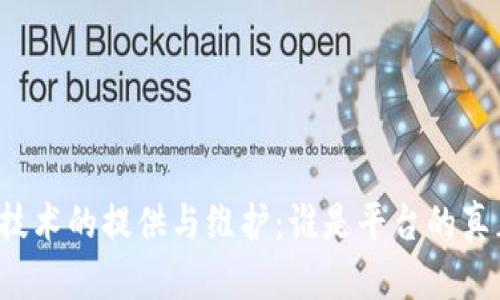 区块链技术的提供与维护：谁是平台的真正主宰？