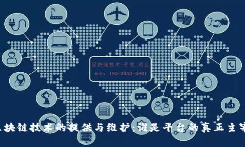 区块链技术的提供与维护:谁是平台的真正主宰?