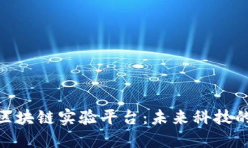 探索上海区块链实验平台：未来科技的创新高地