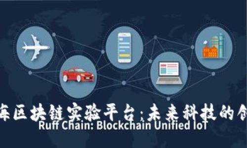 探索上海区块链实验平台：未来科技的创新高地