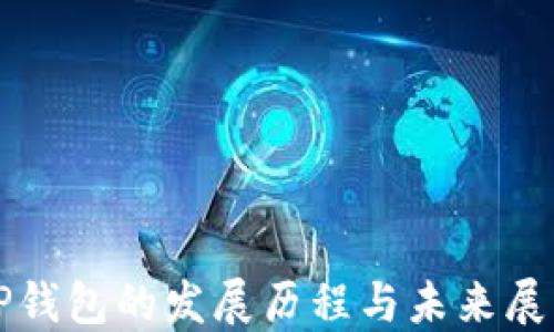 
TP钱包的发展历程与未来展望