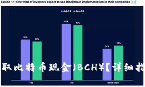 如何使用TP钱包收取比特币现金（BCH）？详细指南与常见问题解答