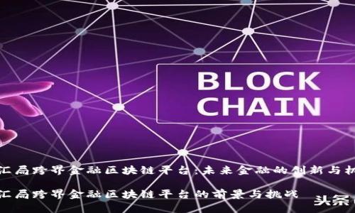 外汇局跨界金融区块链平台：未来金融的创新与机遇

外汇局跨界金融区块链平台的前景与挑战