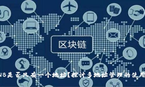 TP钱包中BNB是否只有一个地址？探讨多地址管理的使用及注意事项
