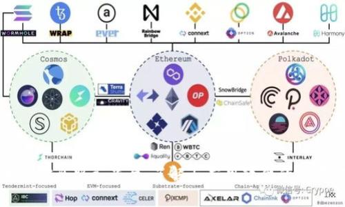 区块链信息服务平台：了解与应用软件的全景解读