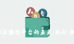  探索韩国虚拟区块链平台的未来：机会、挑战与