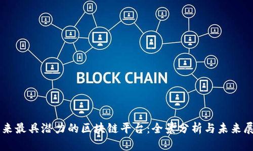 未来最具潜力的区块链平台：全景分析与未来展望