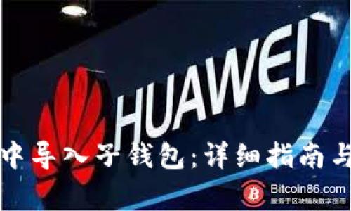 如何在TP钱包中导入子钱包：详细指南与常见问题解答