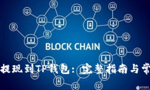 如何将欧易提现到TP钱包: 完整指南与常见问题解答
