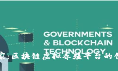 探索鹅之家：区块链虚拟养殖平台的创新与未来
