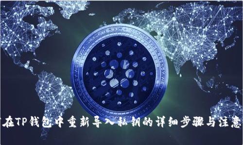 如何在TP钱包中重新导入私钥的详细步骤与注意事项
