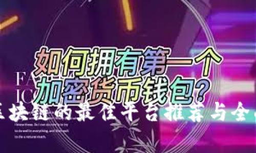 投资区块链的最佳平台推荐与全面解析