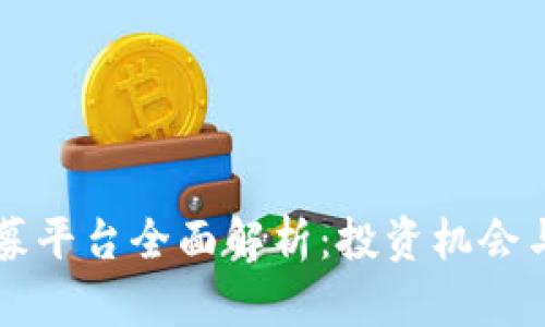 区块链公募平台全面解析：投资机会与风险管理