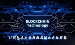 TP钱包丢失的原因与解决方法详解
