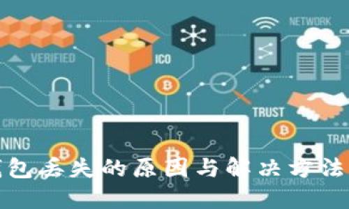 TP钱包丢失的原因与解决方法详解