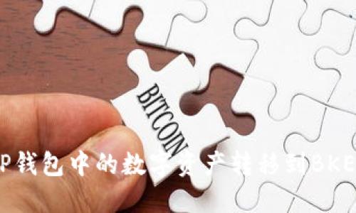 如何将TP钱包中的数字资产转移到BKEX交易所