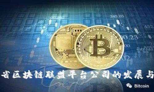 甘肃省区块链联盟平台公司的发展与前景
