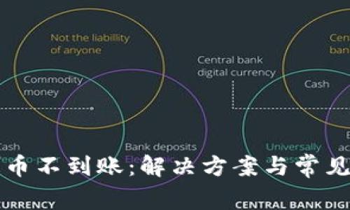 TP钱包提币不到账：解决方案与常见问题指南