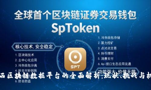 巴西区块链数据平台的全面解析：现状、挑战与机遇