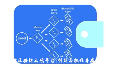 深入理解区块链火鸡平台：创新与挑战并存的未来之路