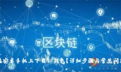 如何在安卓手机上下载TP钱包？详细步骤与常见问