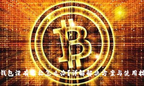 TP钱包没有名称怎么办？详解解决方案与使用技巧