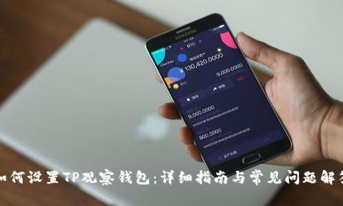 如何设置TP观察钱包：详细指南与常见问题解答