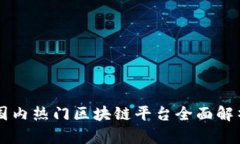 国内热门区块链平台全面解析