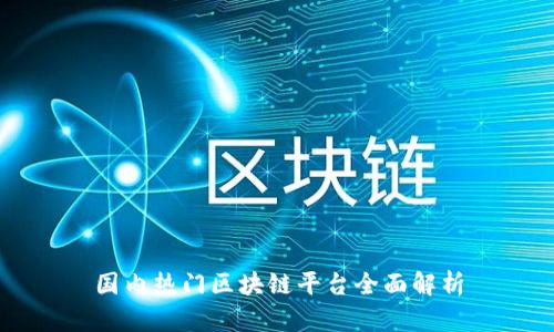 国内热门区块链平台全面解析