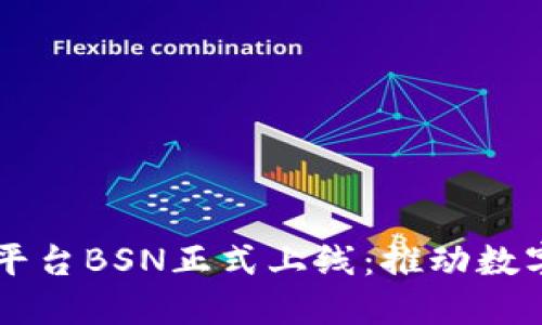 中国区块链平台BSN正式上线：推动数字经济新纪元
