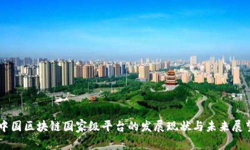 中国区块链国家级平台的发展现状与未来展望