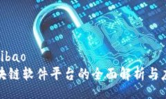 ribao/ribao大众区块链软件平台的全面解析与应用前