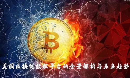 美国区块链数据平台的全景解析与未来趋势