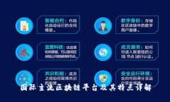国际主流区块链平台及其特点详解