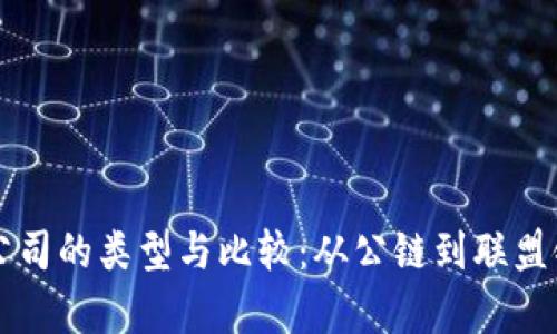 区块链平台公司的类型与比较：从公链到联盟链的全面解析