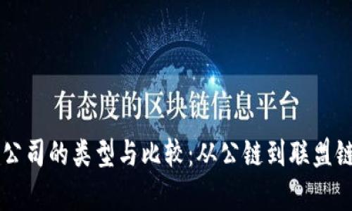 区块链平台公司的类型与比较：从公链到联盟链的全面解析