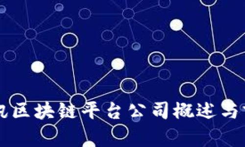 韩国电讯区块链平台公司概述与前景分析
