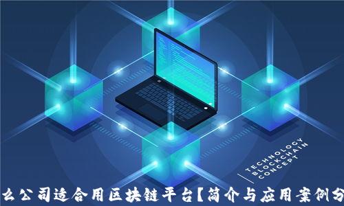 
什么公司适合用区块链平台？简介与应用案例分析