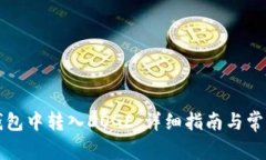 如何在TP钱包中转入DOGE：详细指南与常见问题解