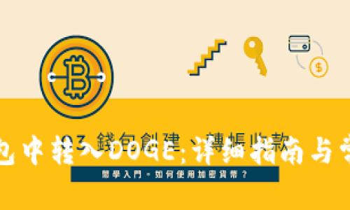 如何在TP钱包中转入DOGE：详细指南与常见问题解答