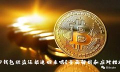 TP钱包被盗还能追回来吗？全面解析和应对措施