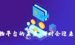 区块链购物平台的未来：何时会迎来最佳时机？
