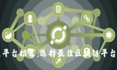区块链平台推荐：选择最佳区块链平台的指南