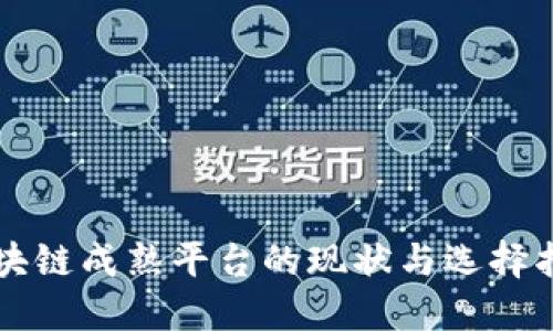 区块链成熟平台的现状与选择指南